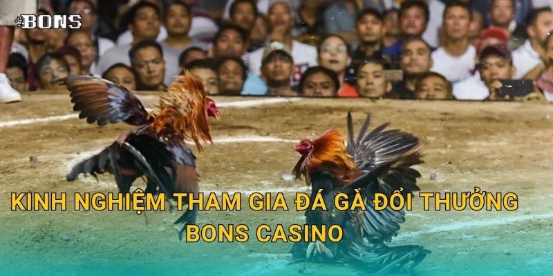 Kinh nghiệm tham gia đá gà đổi thưởng Bons Casino