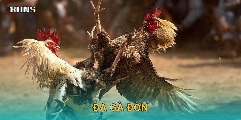 Đá gà đòn