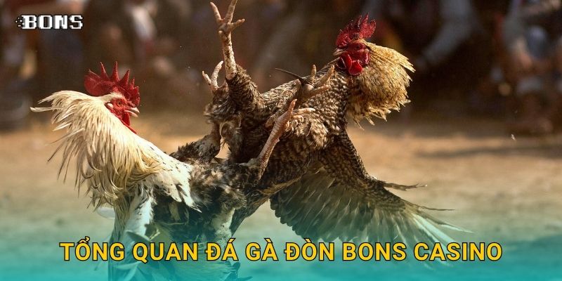 Tổng quan đá gà đòn Bons Casino
