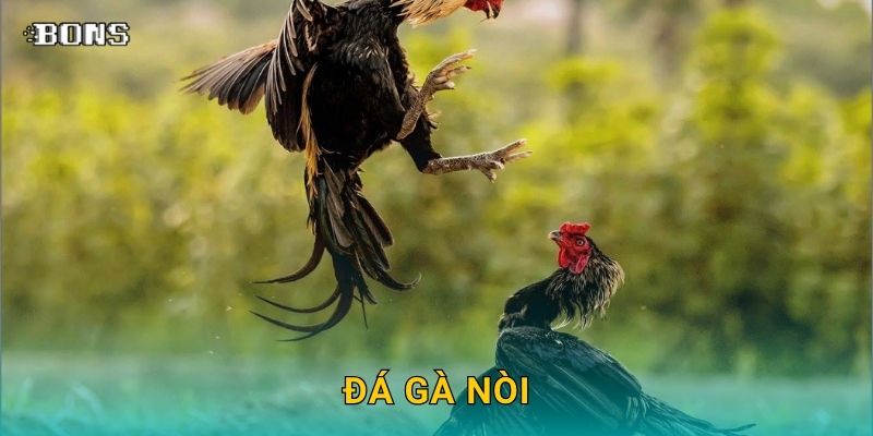 đá gà nòi