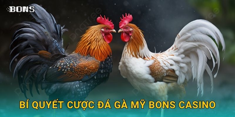 Bí quyết cược đá gà Mỹ Bons Casino