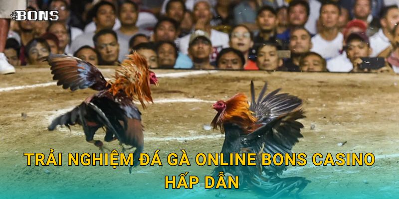 Trải nghiệm đá gà online Bons Casino hấp dẫn
