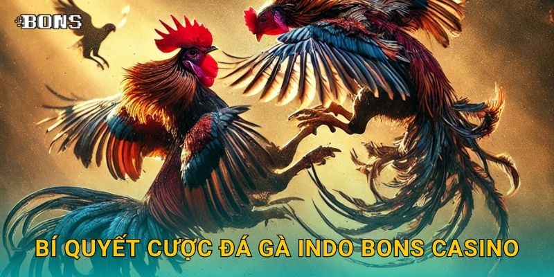 Bí quyết cược đá gà Indo Bons Casino