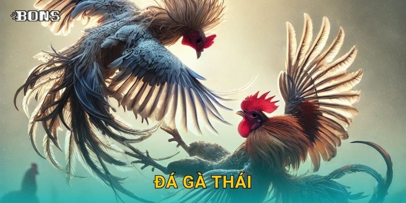 đá gà thái
